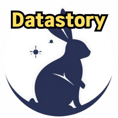 달나라의 토끼, 안의 글자는 datastory